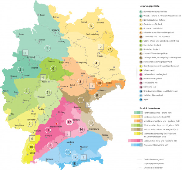 Standard Regio Grundmischung 70/30 (Frischwiese) RegioZert